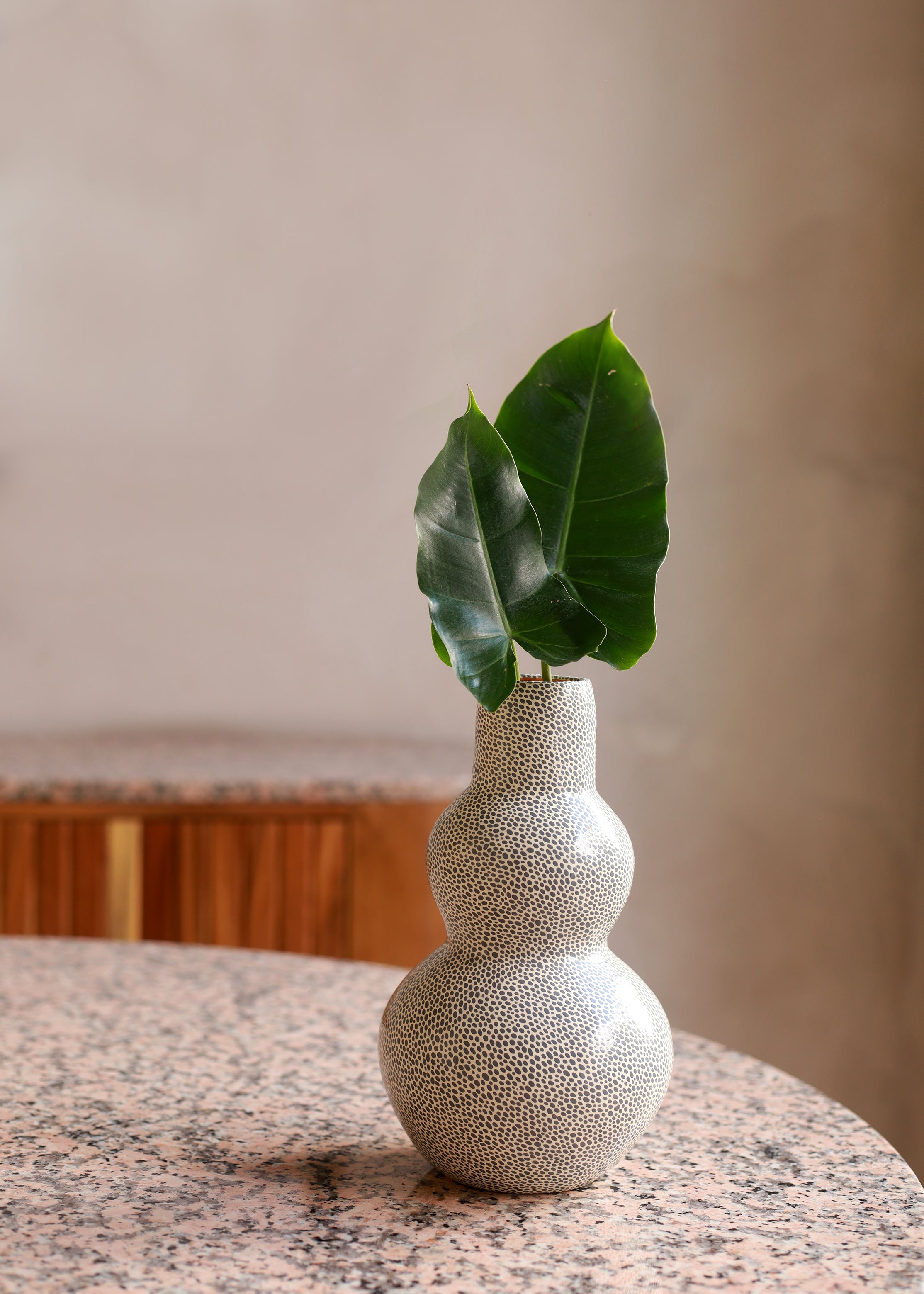 Balaam Vase - Hand Painted - Made in Chiapas