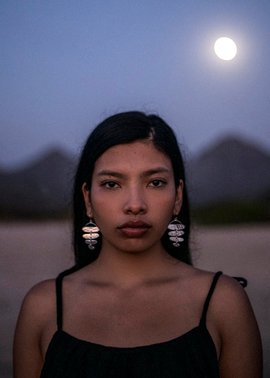 Silver Earrings - Reflect