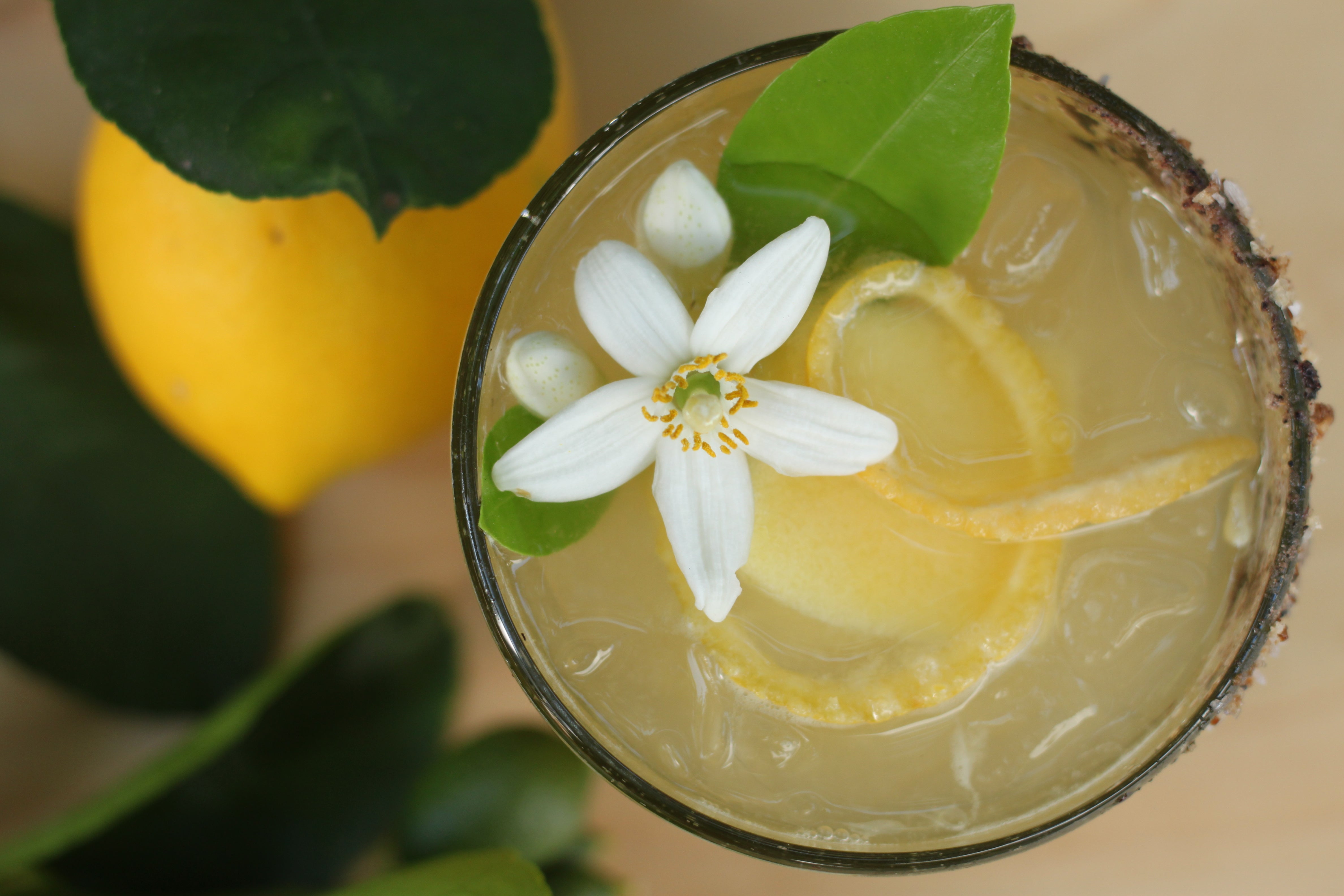 Hand Blown Clear Glass Tumblers - 3 sizes - 6oz - 8oz - 12oz