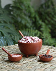 Barro Rojo Bowl and Spoon Set